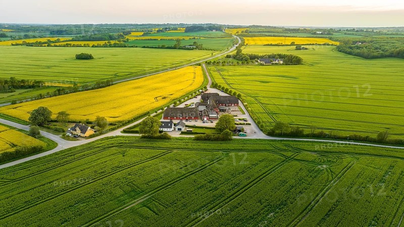 Aerial view, Denmark, Region Syddanmark, Christiansfeld, Agriculture and farms with grain and rape fields, Christiansfeld, Region Syddanmark, Denmark, Europe