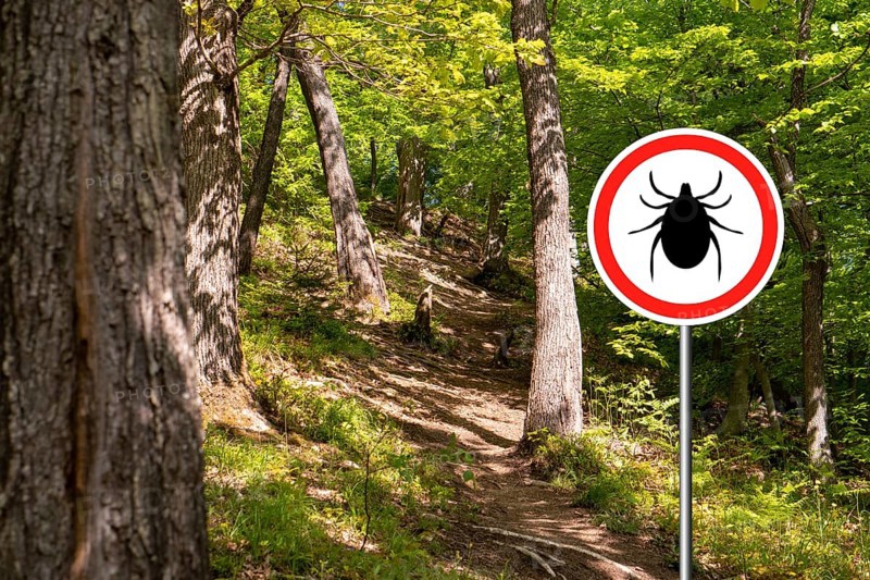 Tick insect warning sign in infected forest. Lyme disease and meningitis transmitter