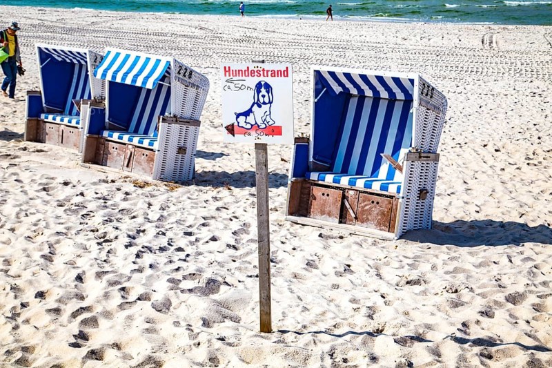 Dog beach on the west beach, Hörnum, Sylt