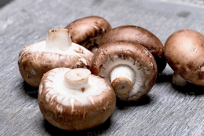 Brown champignon on grey background, close up
