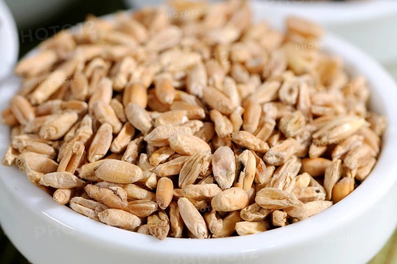 Cooked wheat (Triticus fructus levis), Fu Xiao Mai