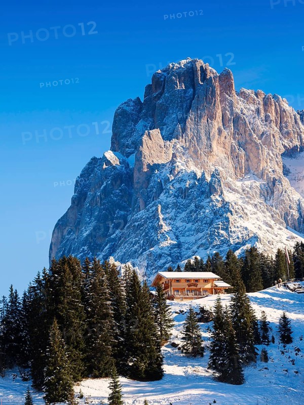 Mt Sasso Lungo or Mt Langkofel with a mountain refuge at front, Seiser Alm alpine meadow, South Tyrol, Alto Adige, Italy, Europe