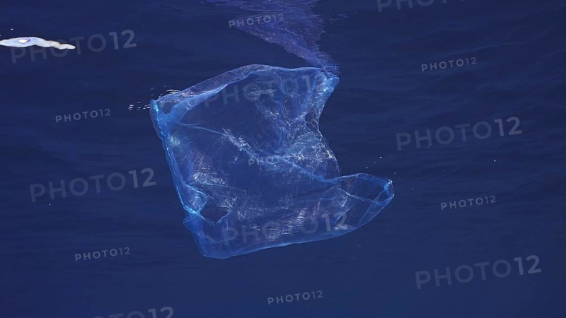 Disposable blue plastic bag floats under surface in blue water. Plastic bag thrown into sea drifts under surface of blue water in morning time, Red sea, Egyp