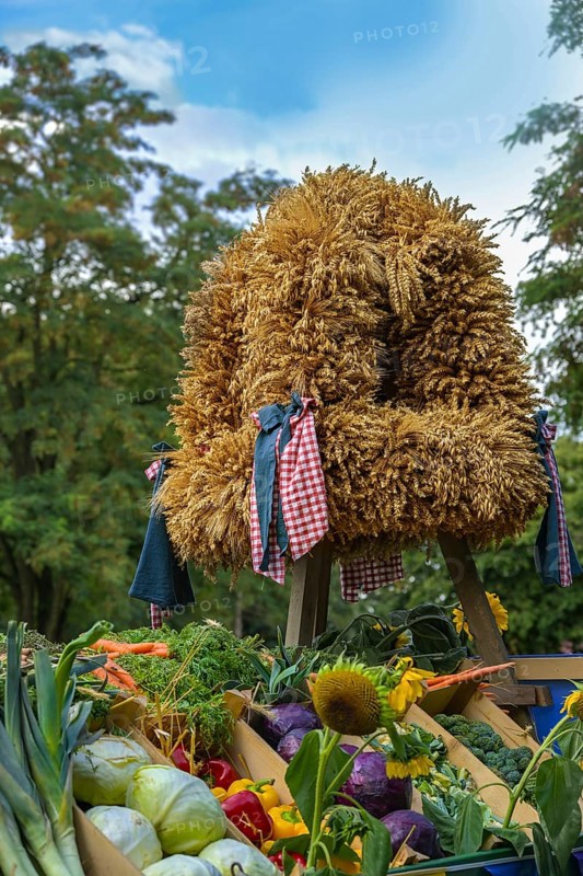 Harvest crown tied from different cereals for Thanksgiving, set up over various freshly harvested vegetables against green trees and a blue sky, selected focus, narrow depth of field