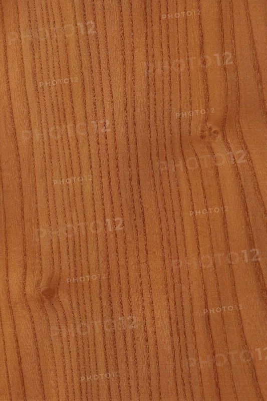 Background of wood grain from Red Elm, Ulmus rubra, aka Slippery Elm, Soft Elm, found in the Eastern to Midwest United States