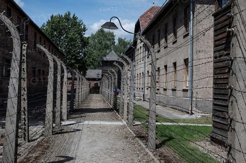 Fence made by barbed wire in the German nazi concentration camp Auschwitz Birkenau