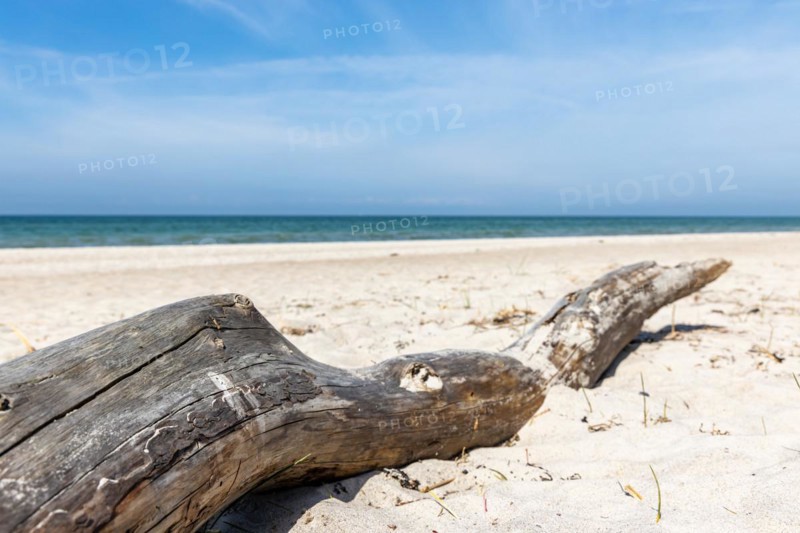 Baltic Sea beach West beach Darßer Ort