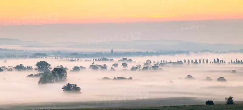 A misty landscape at sunrise with distant trees and cathedral tower, Galgenberg, Aachried, Radolfzell, Lake Constance, Baden-Württemberg, Germany, Europe