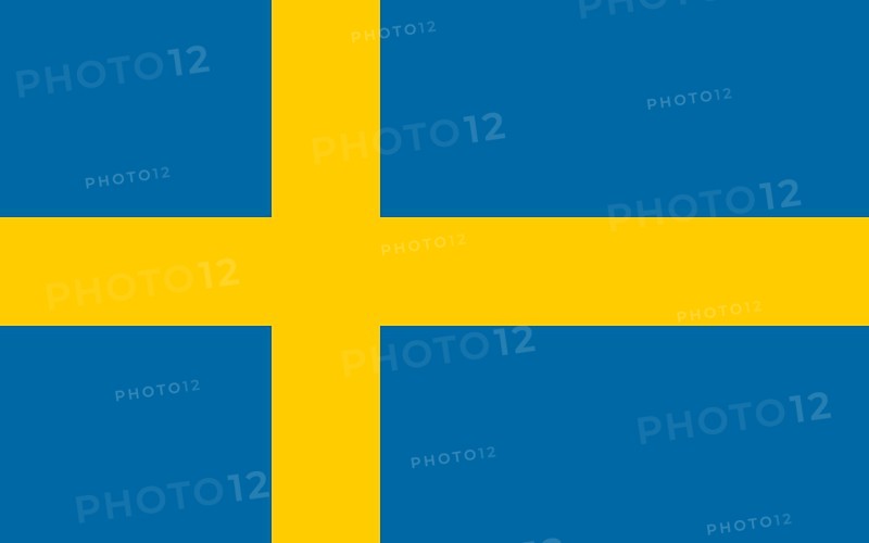 Flag of Sweden, Vector illustration