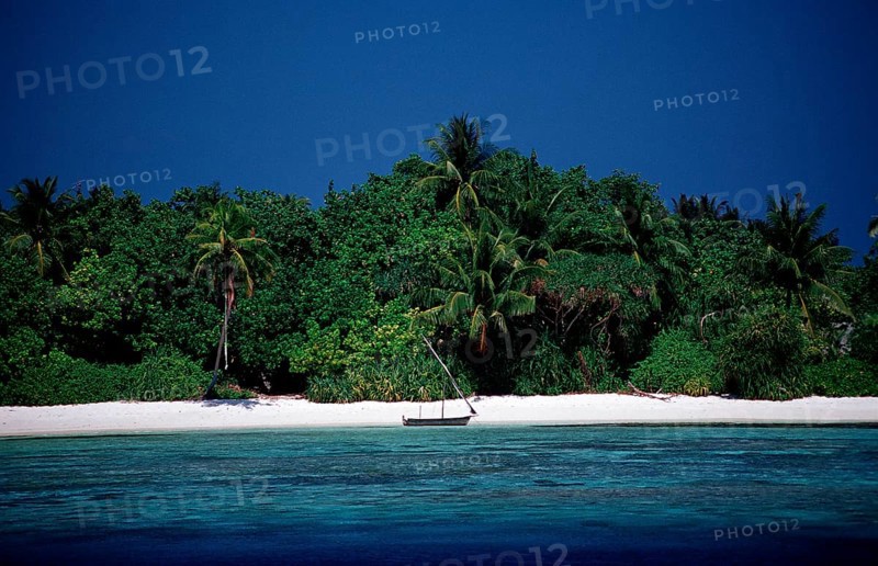 Maldives Island Rhasdoo, Native Island, Maldives, Indian Ocean, Rasdhoo Atoll, Asia