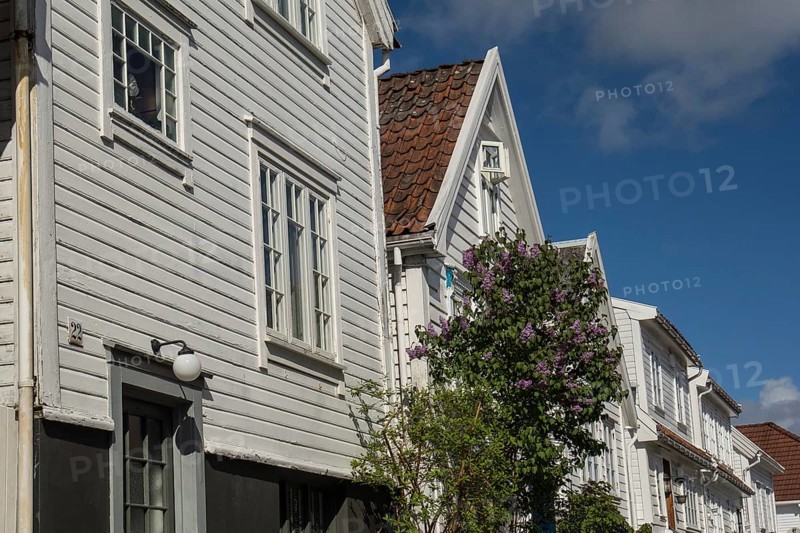 White wooden houses with blooming flowers and clear blue sky in the background, stavanger, norway