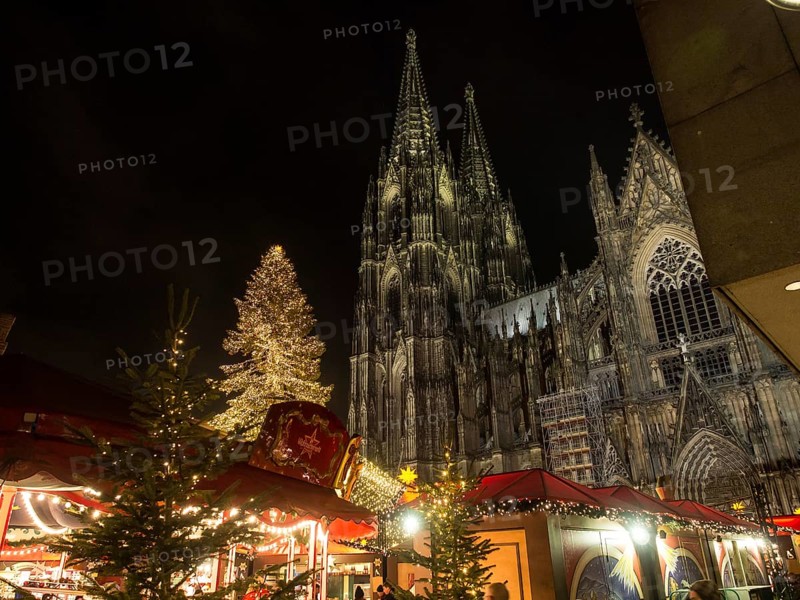 Festively illuminated Christmas market in the evening in front of a Gothic cathedral with Christmas trees, Cologne, North Rhine-Westphalia, Germany, Europe