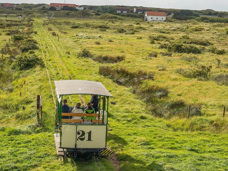 Horse-drawn railway runs through a wide green landscape with scattered houses, spiekeroog, east frisia, north sea, germany
