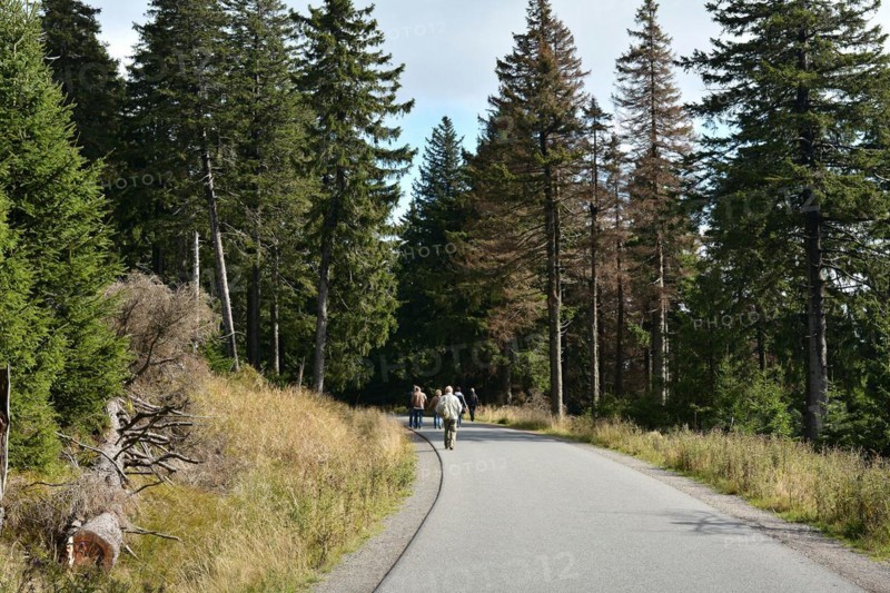 Hikers on the way from the summit of the Brocken to the village of Schierke in the Harz National Park