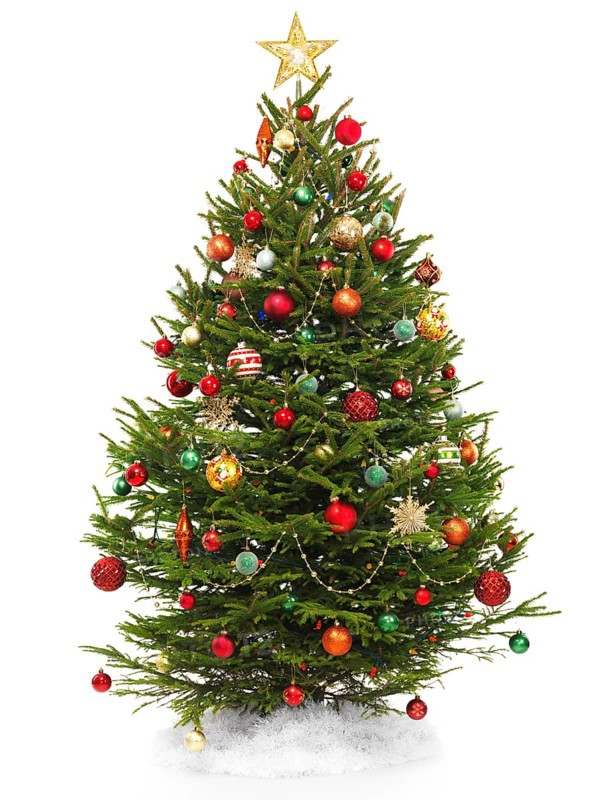 Beautiful decorated Christmas tree with a star topper isolated on white background
