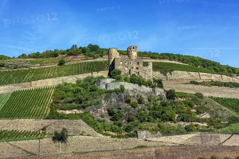 Ehrenfels Castle is a ruined hillside castle above the Rhine Gorge near the town of Rudesheim am Rhein, Germany, Europe