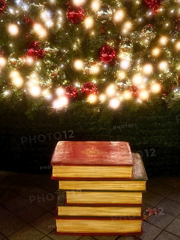 Books under the Christmas tree, Decoration, Roermond, Netherlands