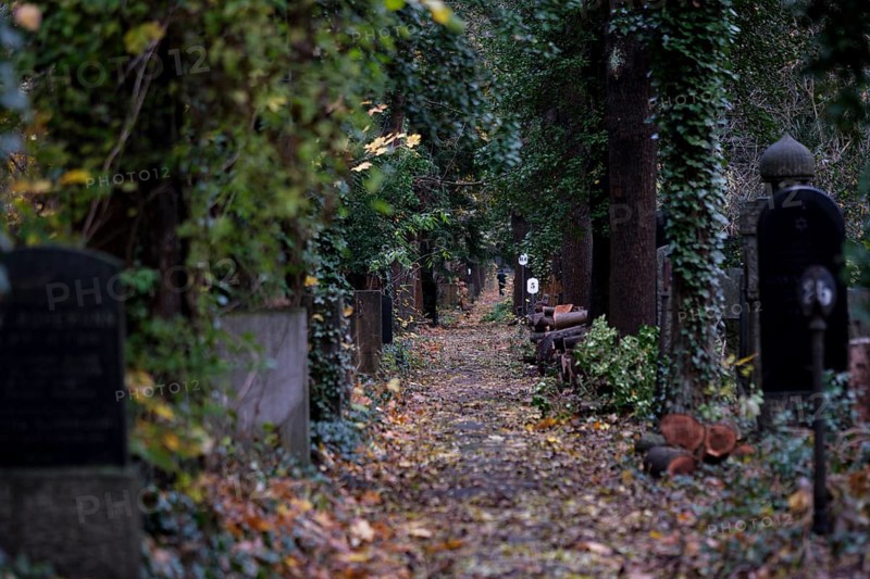 Germany, Berlin, 19.11.2023, Weißensee Jewish Cemetery, autumnal avenue, gravestones, Europe