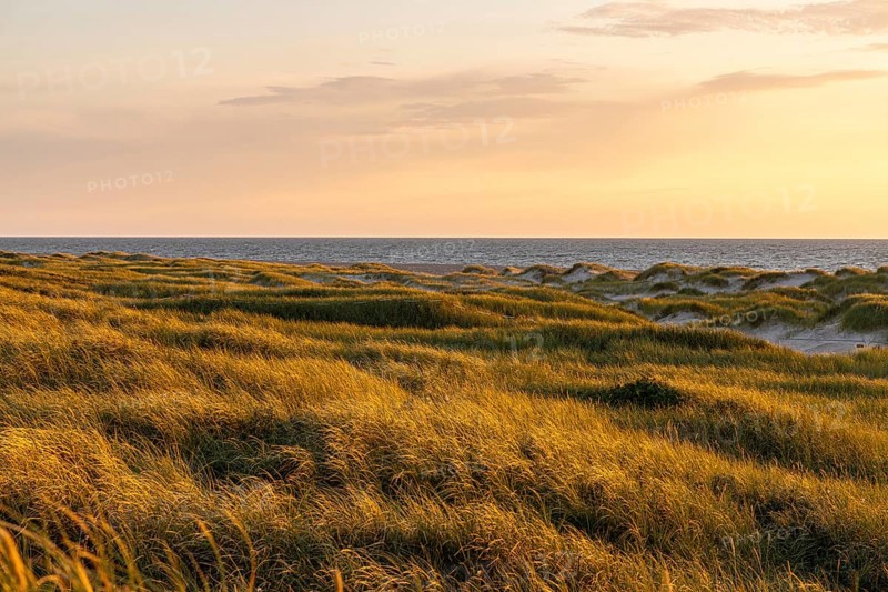 Evening at Vorupör harbour, Thy, Jutland, Denmark, Europe