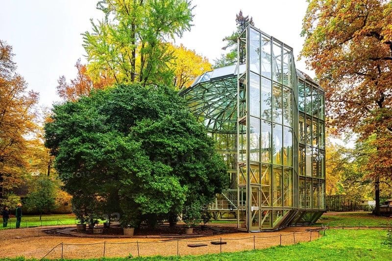 Pillnitz Palace Park Enclosure of the camellia