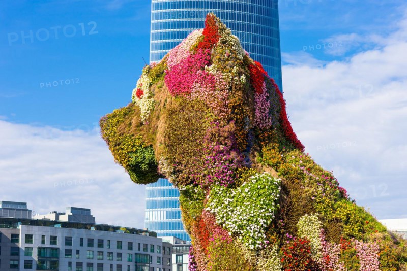 Jeff Koons Puppy, a West Highland White Terrier in a variety of flowers, in the Basque city Bilbao on October 06, 2016. The city is famous for her contemporary art