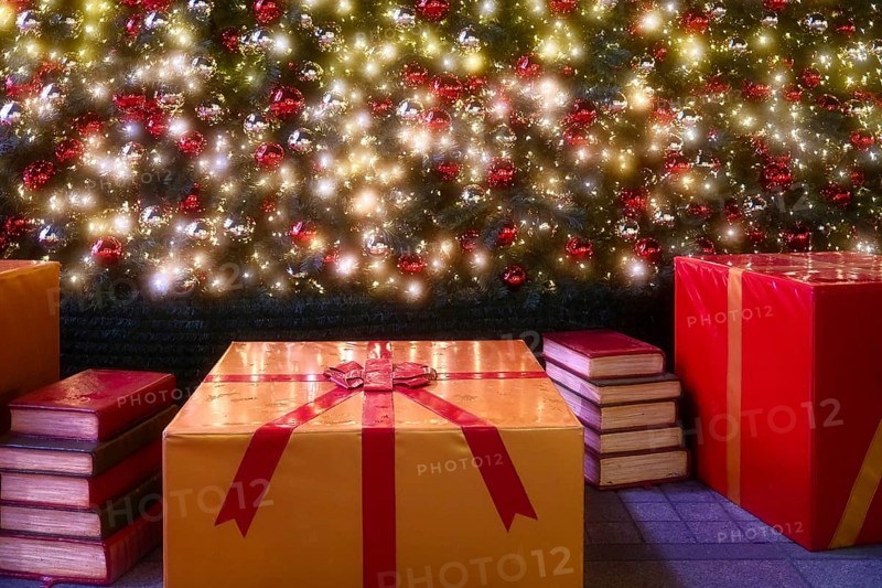 Parcels and books under the Christmas tree, Decoration, Roermond, Netherlands