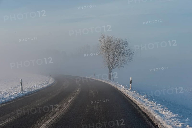 Country road near Nebel, Alpine foothills, Bavaria, Germany, Europe