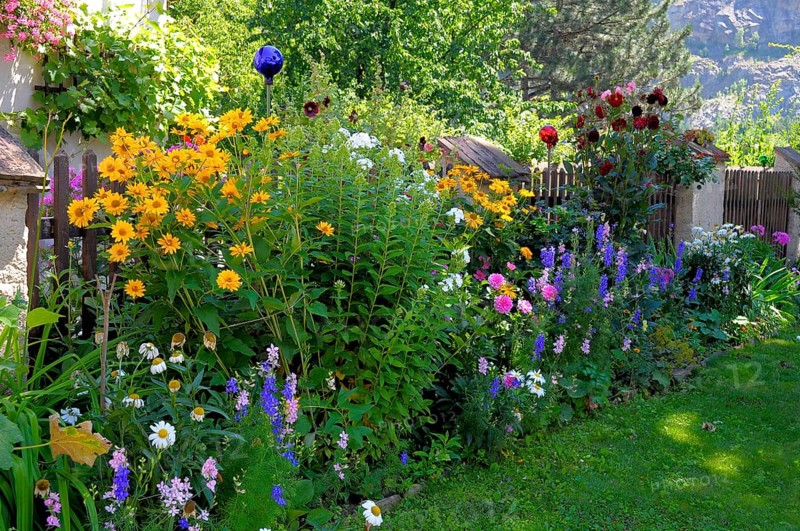 Peasant Garden, Wachau, Perennial Garden