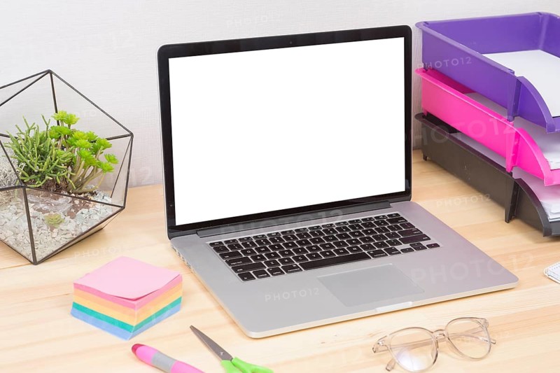 Laptop with green plant stickers table