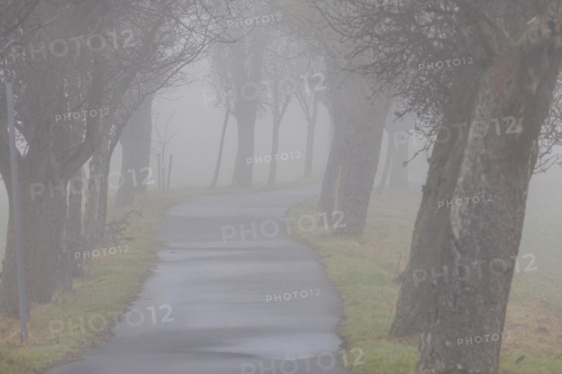 Foggy field path near Rathewalde in Saxon Switzerland, Rathewalde, Saxony, Germany, Europe