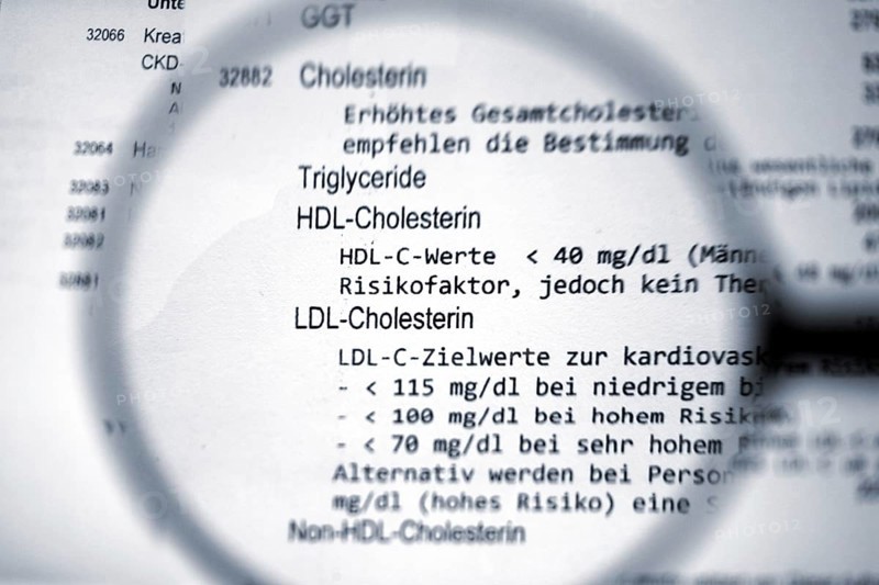 Cholesterinwerte