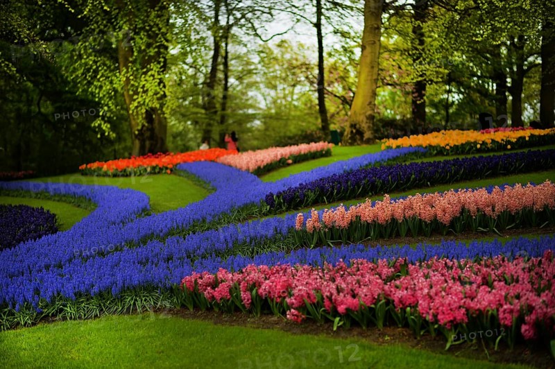 Keukenhof in the Netherlands has long been a magnet for international tourism, but it is particularly attractive during the tulip blossom season, as seen here on 28.4.2018 in Lisse, NDL, the Netherlands