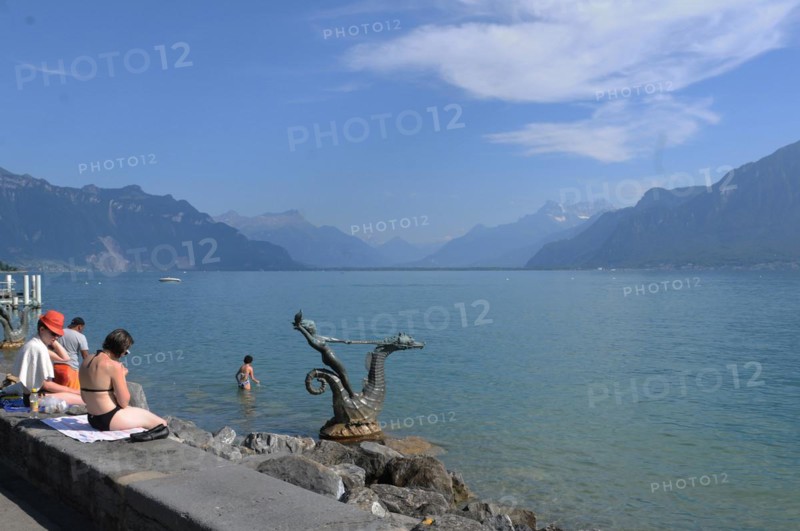 Ein Seepferd badet mit den Schwimmern im Genfersee bei Vevey. A sea horse taking a bath in Lake Geneva at Vevey