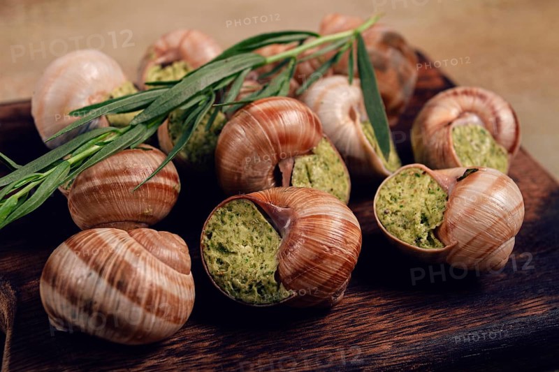 Food, Snails stuffed in Burgundy, on a wooden board, top view, French cuisine, no people