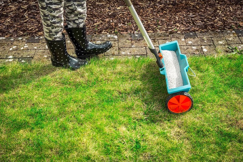 Fertilize lawn - Detail of Fertilizer spreader on green lawn
