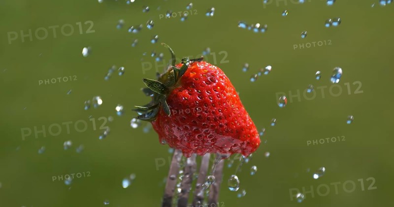 Strawberries (fragaria vesca), Water Falling on Fruits