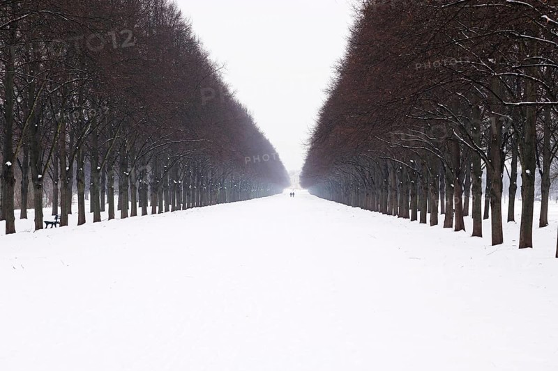 wide snow covered alley in winter with tiny people in the distance