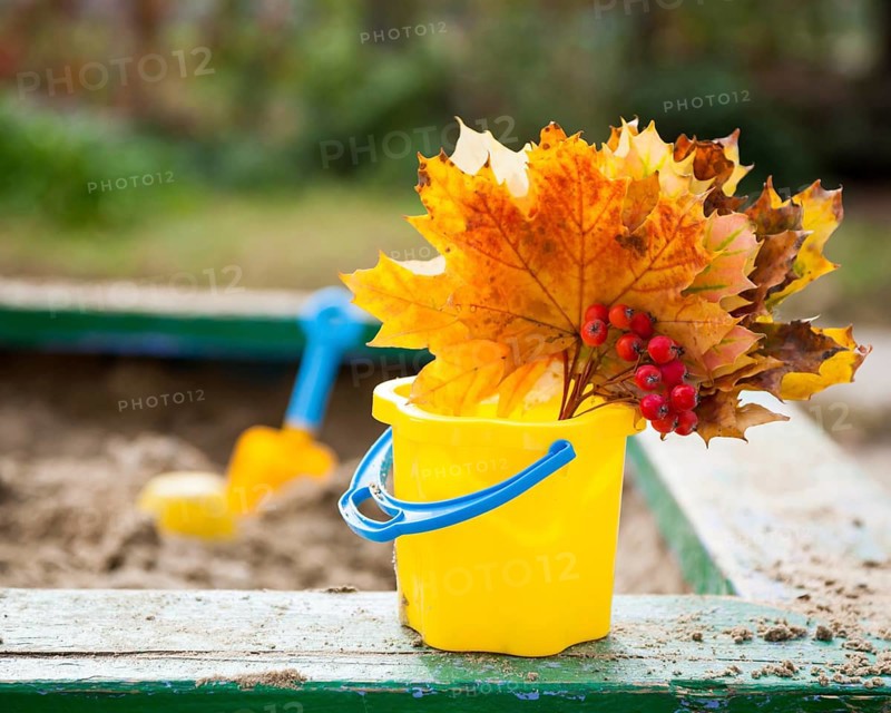 Bouquet of maple leaves and ashberry on playground in autumn