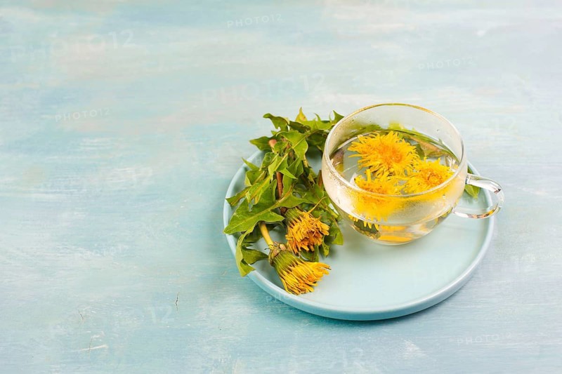 Dandelion wildflower tea, glass with herbal hot drink, alternative medicine for detox, leaves and flowers