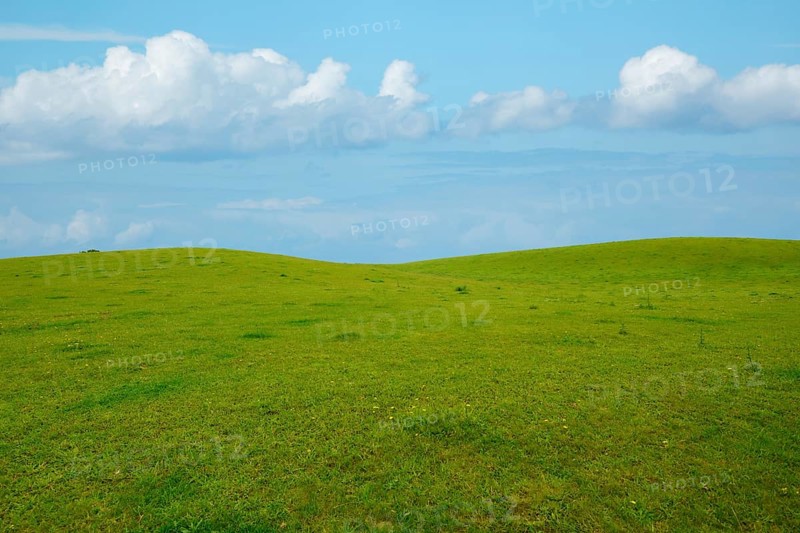 Hillside lounger mountain meadow