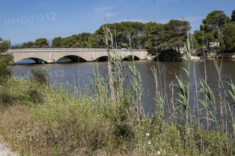 Pont dels Anglesos, s Oberta, exit to the sea from Canal Gran, Àrea Natural d'Especial Interès, included within the Natural Park of s'Albufera, Mallorca, Balearic Islands, Spain, Europe