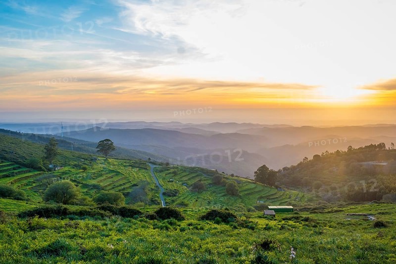 Sunset view in a valley with terraced fields around mount Foia on Monchique, Portugal, Europe