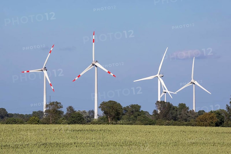Wind turbines in front of a blue sky near Gremersdorf, Schleswig-Holstein. With wheat field. Wind turbines or wind wheels near Gremersdorf, Schleswig-Holstein, Germany, with wheat field, Europe