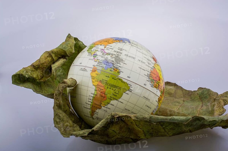 Little model globe placed on dry Autumn leaf