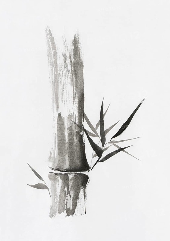 Beautiful Zen painting of bamboo stalk and leaves. Sumi-e Chinese Japanese black ink on rice paper painting fine art
