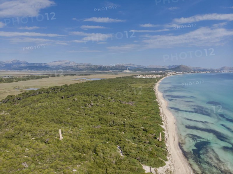 Es Comú, Àrea Natural d'Especial Interès, included within the Natural Park of s'Albufera, Muro, bahía de Alcúdia, Mallorca, Balearic Islands, Spain, Europe