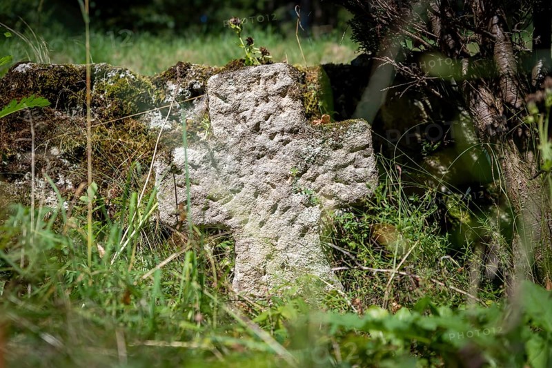 Very old single gravestone made of coloured sandstone overgrown with grass and weeds