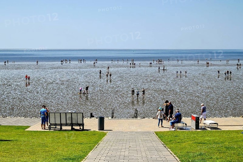 Path at the foot of the dyke with Wadden Sea, Büsum, Dithmarschen, Schleswig-Holstein, Germany, Europe