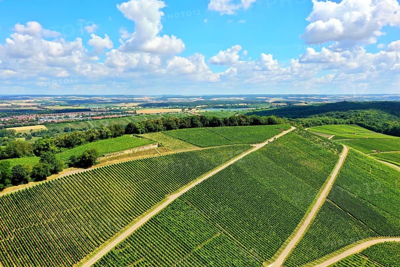 Scheuerberg