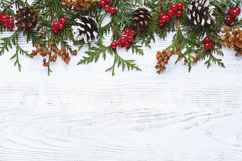 Border of Christmas tree branches pine cones flowers and red berries on white wooden background, copy space